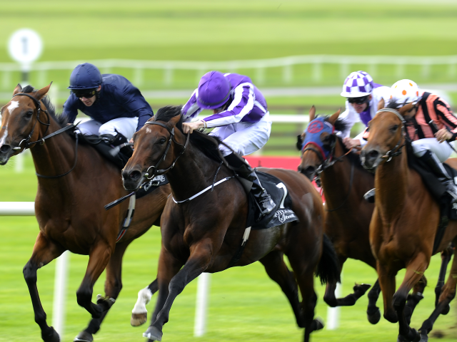 There is racing from Limerick on Saturday, including a listed race